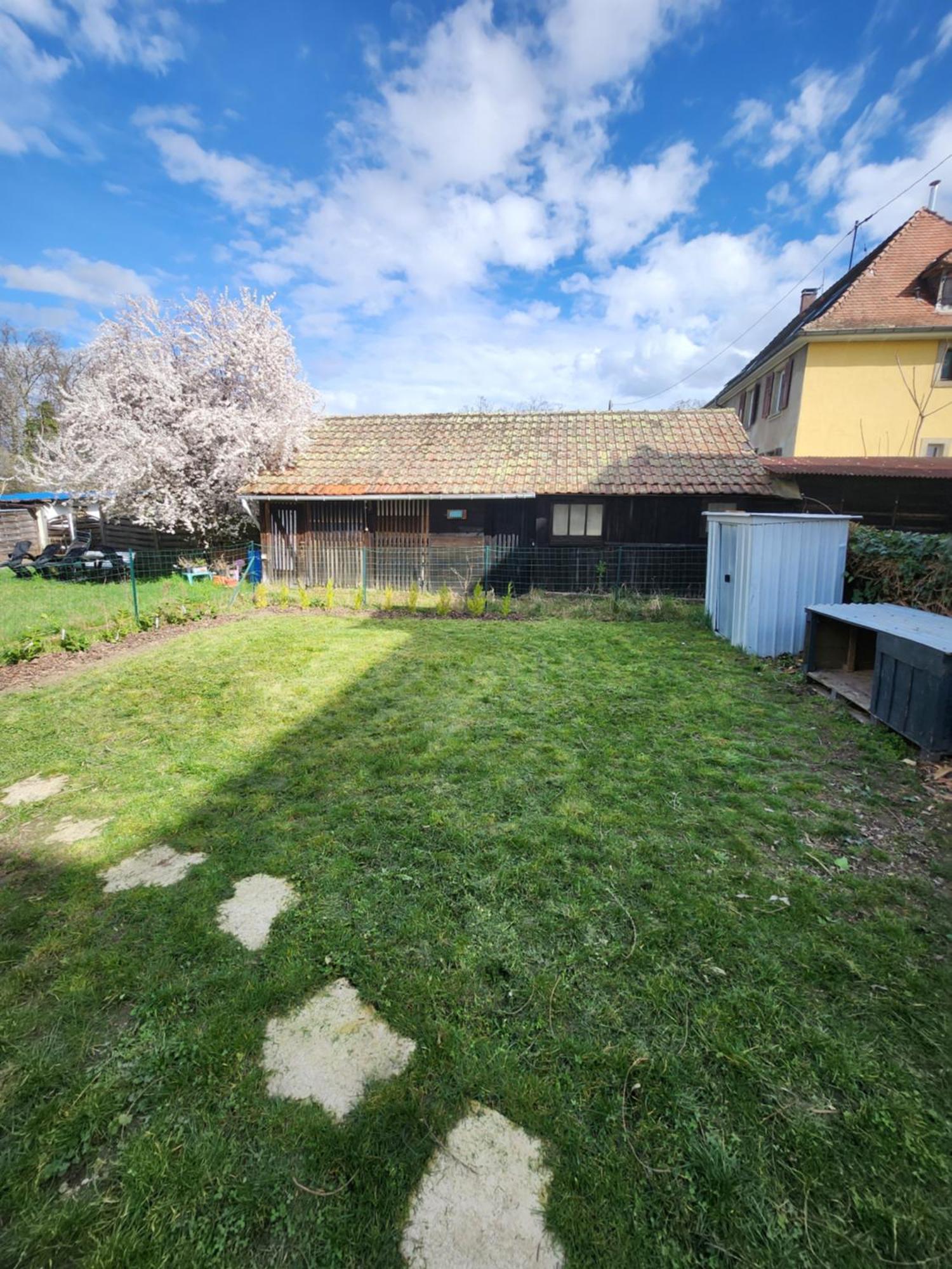 Gite Du Logelbach Wintzenheim Buitenkant foto
